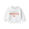 Halloween Pumpkin Print Sweatshirt Family Matching Outfit
