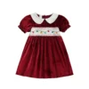 S61f9cd5832414e8e9a3f56f3dc1ebc4aU.webp Christmas A-Line Dress with String Lights Embroidery
