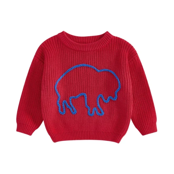 Knit Pullover Sweater with Graphic Embroidery